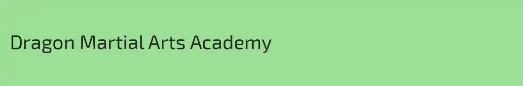 Dragon Martial Arts Academy